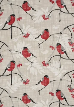 Fondaco Multibandslängder med domherrar 2-pack New